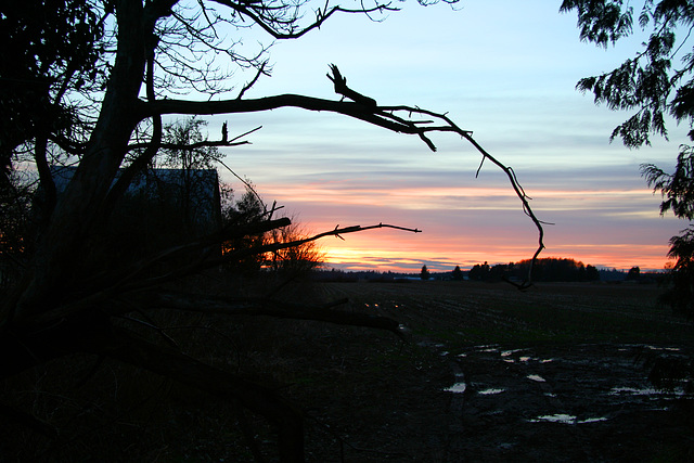 Lynden Sunset #3