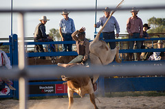 Stony Creek Rodeo 2014