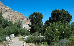 Whitewater Preserve (2509)