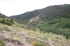 IMG_8060