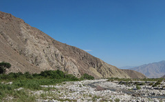 Whitewater Preserve (2512)