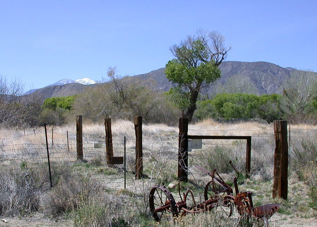 Big Morongo Canyon (0461a)