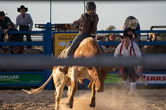 Stony Creek Rodeo 2014