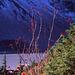 Bagley Lakes, Mount Baker