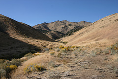 Wildcat Canyon