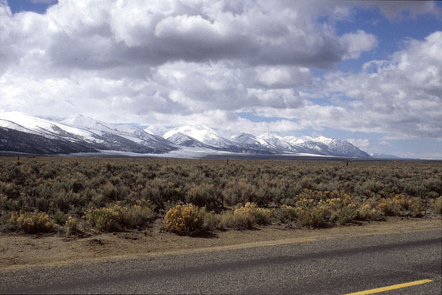 6-06-toiyabe_ra_n_adj