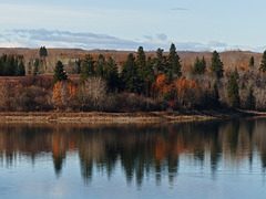 At the edge of the Glenmore Reservoir