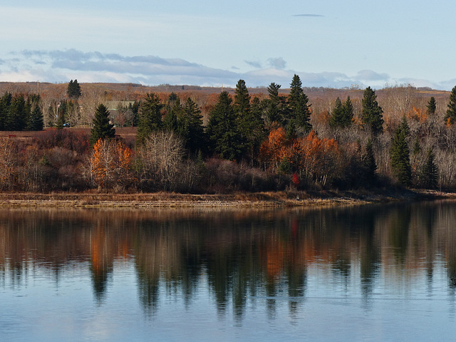 At the edge of the Glenmore Reservoir At the edge of the Glenmore Reservoir