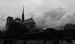 Paris grisaille