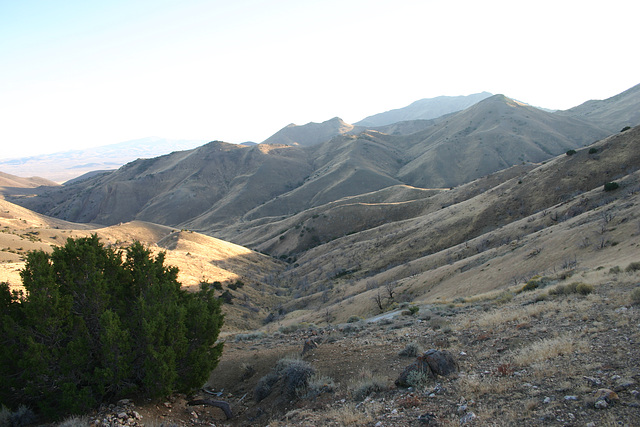 View of Burnt Canyon