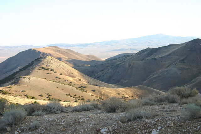 Burnt Canyon View