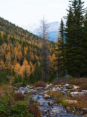 Fall in the Rockies