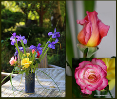Courtyard flowers in bloom