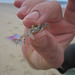 Noosa062013 131