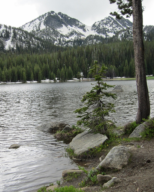 Anthony Lake, OR 0943a