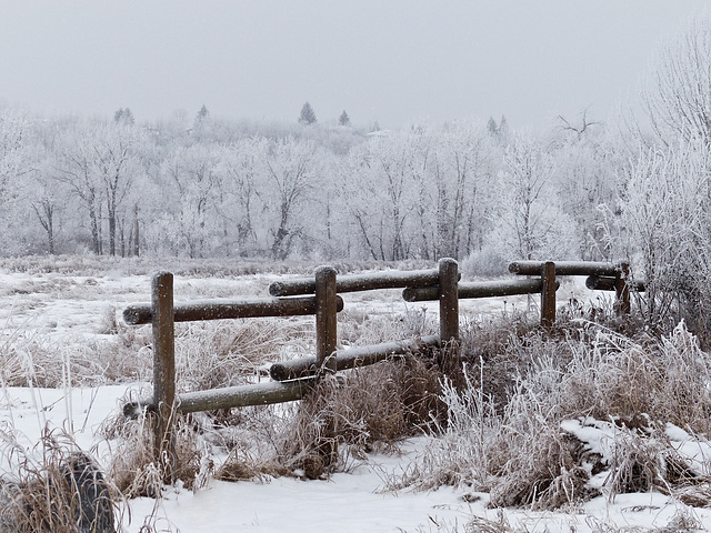 Down by the Ranch