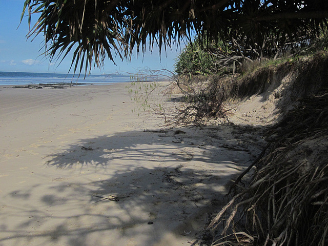 Noosa062013 139