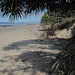 Noosa062013 139