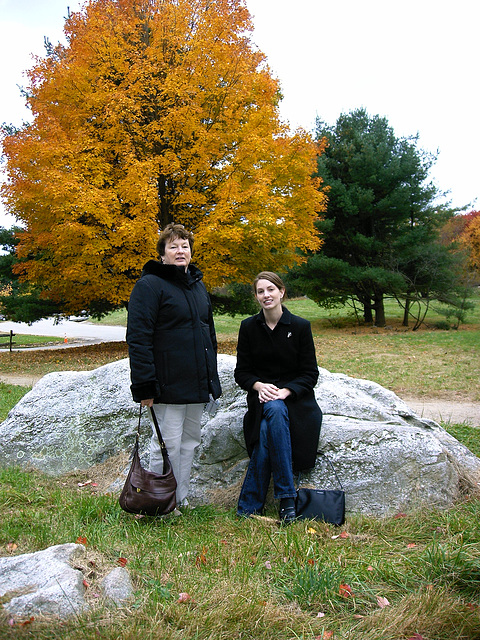 Near Walden Pond, 2003