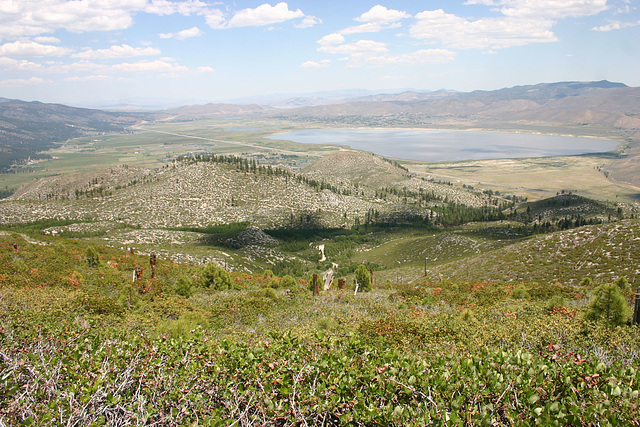 Washoe Valley