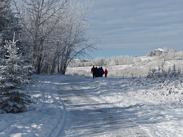 Winter wonderland