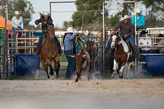 Stony Creek Rodeo 2014