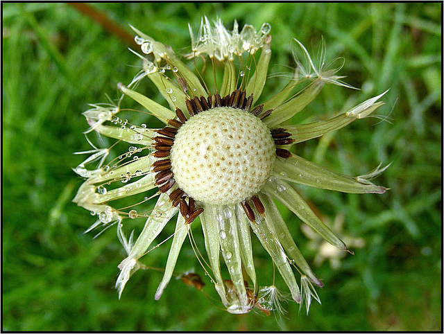 Spreewald 094