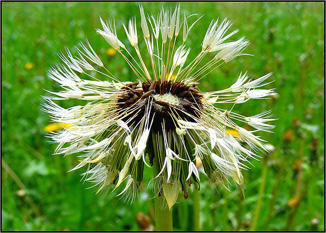 Spreewald 096