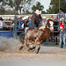 Stony Creek Rodeo 2014