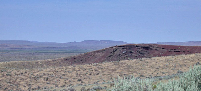 Diamond Crater, OR  2494a