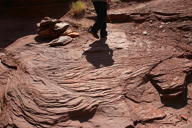 Trough crossbeds, Cutler Fm. (Permian), Fisher Towers, UT