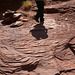 Trough crossbeds, Cutler Fm. (Permian), Fisher Towers, UT