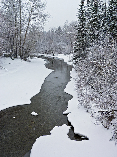 A beautiful winter's day