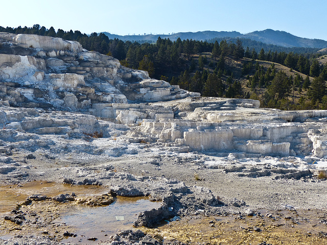 Minerva Terrace, Mammoth Hot Springs