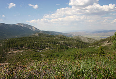 Washoe Valley & Slide Mountain