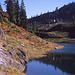 Bagley Lakes, Mount Baker