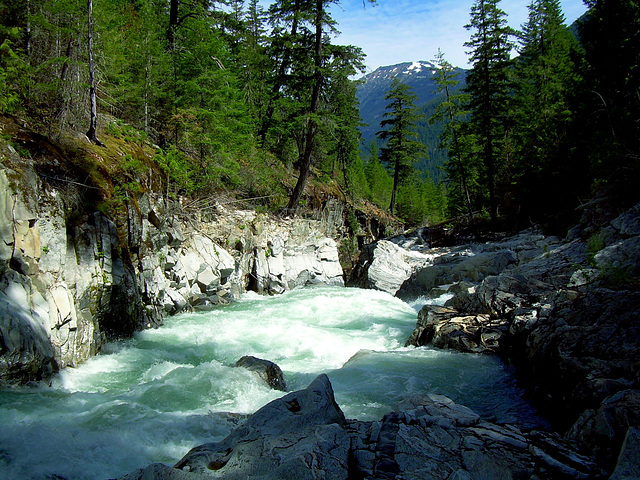 Thunder Creek, North Cacades National Park