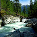 Thunder Creek, North Cacades National Park