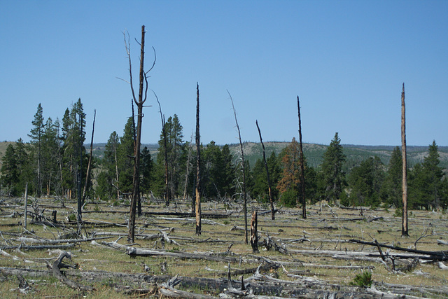 Fountain Flats, Yellowstone National Park