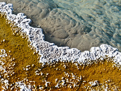 Hot spring colour, Black Pool, Yellowstone National Park