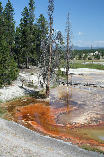 Norris Geyser Basin, Yellowstone National Park