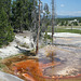 Norris Geyser Basin, Yellowstone National Park