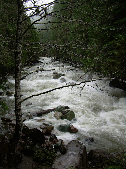 Above Nooksack Falls