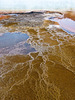 Grand Prismatic Spring, Yellowstone National Park