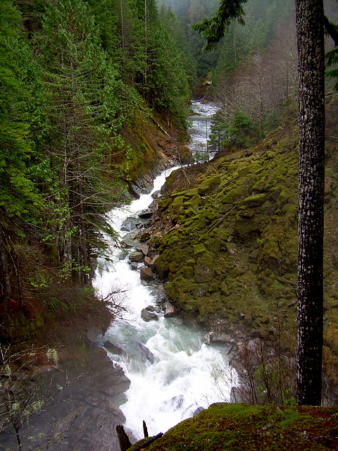 Nooksack River North Fork