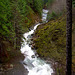 Nooksack River North Fork