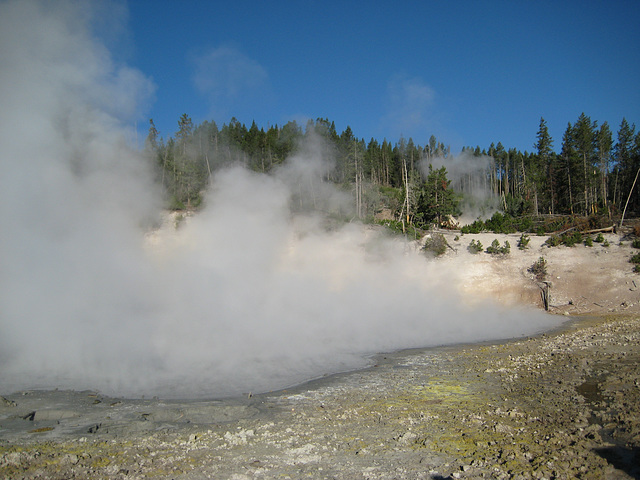 Norris Geyser Basin, Yellowstone National Park