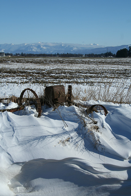 Lynden Winter