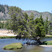 Firehole River, Yellowstone National Park