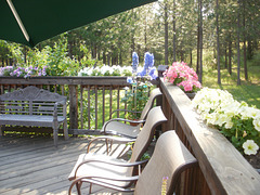 P7121669